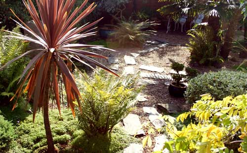 The Garden